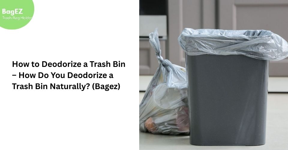 How to Deodorize a Trash Bin – How Do You Deodorize a Trash Bin Naturally? (Bagez)