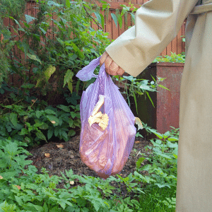 How to use Compostable Bags in Curbside Composting Bins