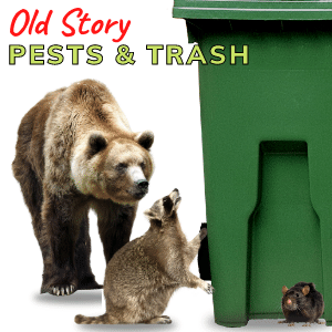 How to Prevent Pests Going After Your Trash Cans