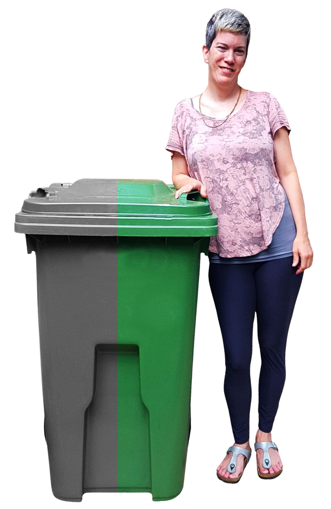 Dual waste bin with lid